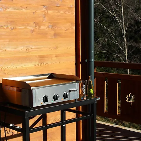 Διαμέρισμα L'oseraie, Location Touristique 4 Etoiles Au Coeur Des Vosges Le Saulcy