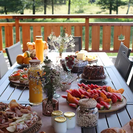 Διαμέρισμα L'oseraie, Location Touristique 4 Etoiles Au Coeur Des Vosges Le Saulcy